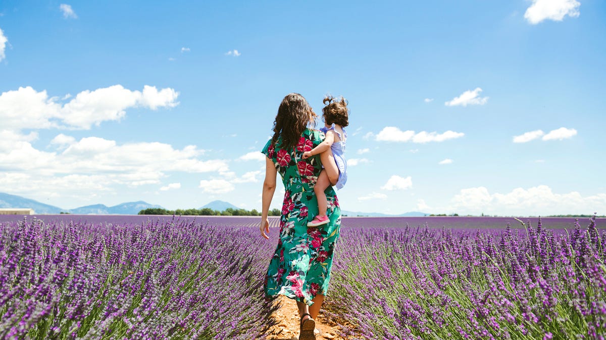 Image of: Wildfires and a Pandemic Pushed us Back to the East Coast