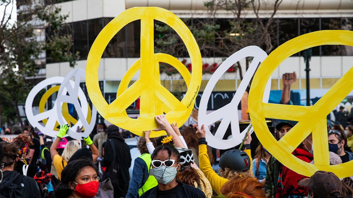 Image of: So, Biden Is President. Now What?