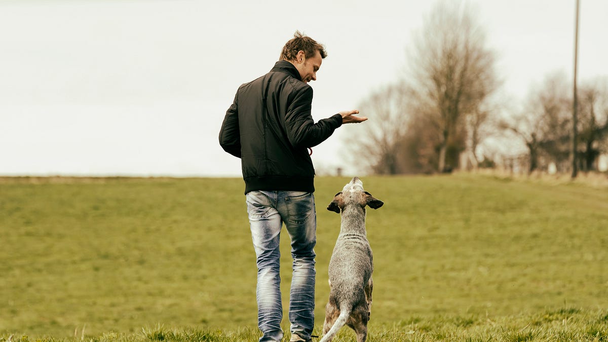 Specific Ideas to Stay Sane as We Wait for Election Results