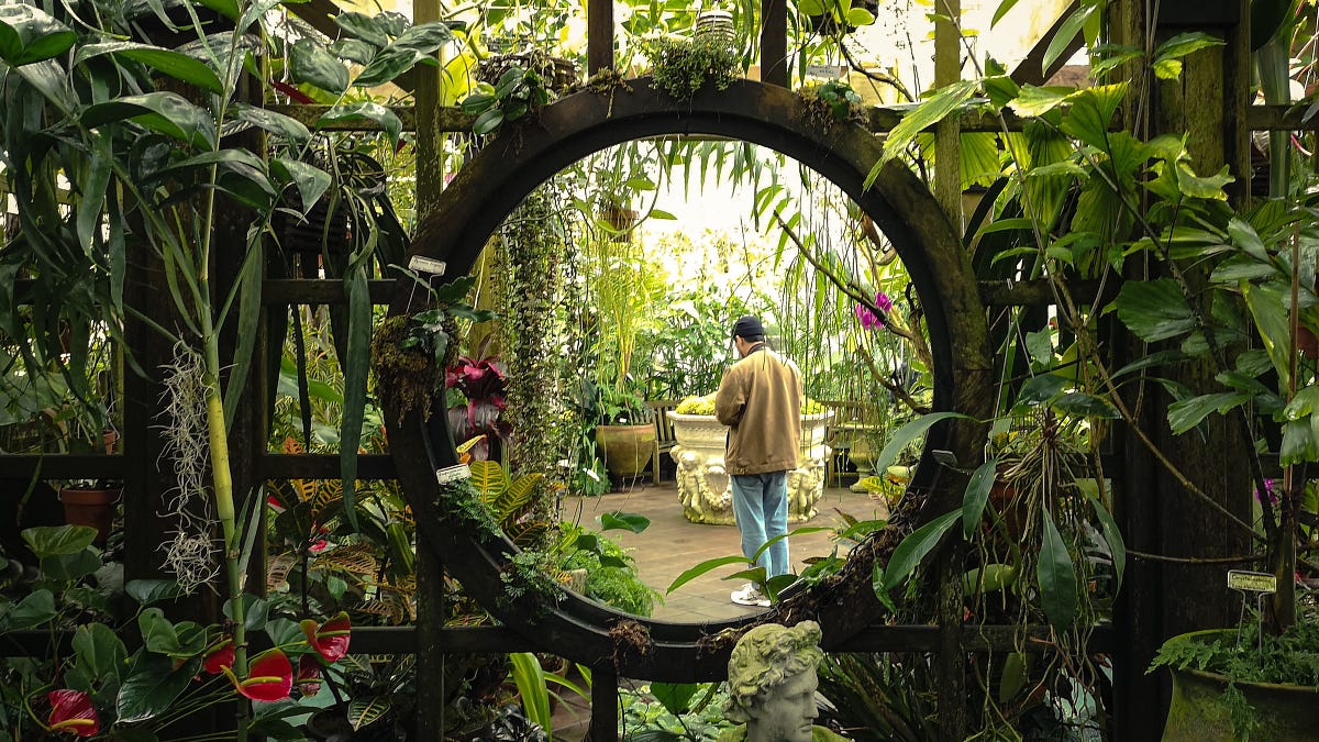 Ways to Take a Mental Health Day in San Francisco