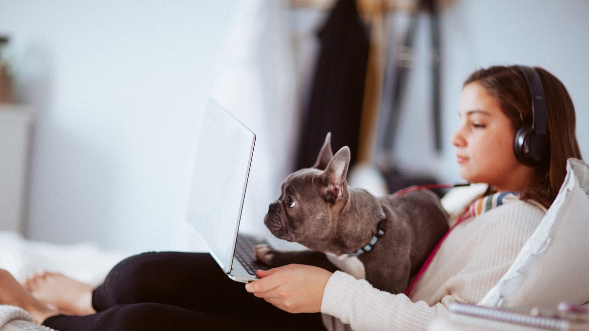 Image of: The Quest for Connection in a High School Zoom Class