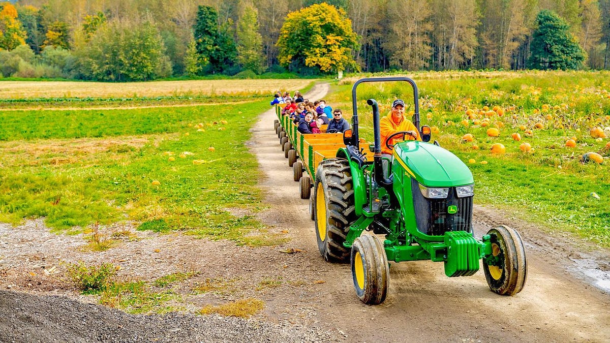 Image of: Here Are the Most Wholesome Fall Activities in the Bay