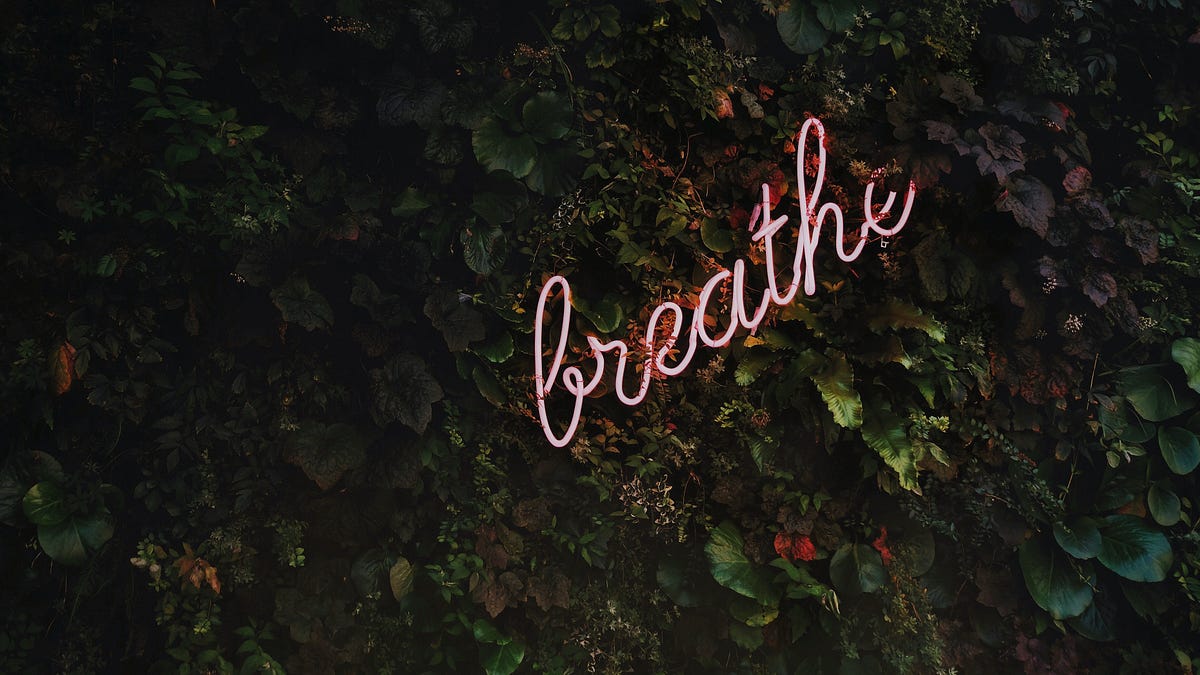 How to Treat Yourself in San Francisco