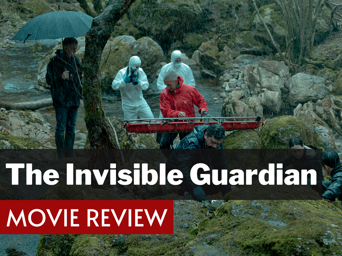 The Invisible Guardian (2017) - IMDb