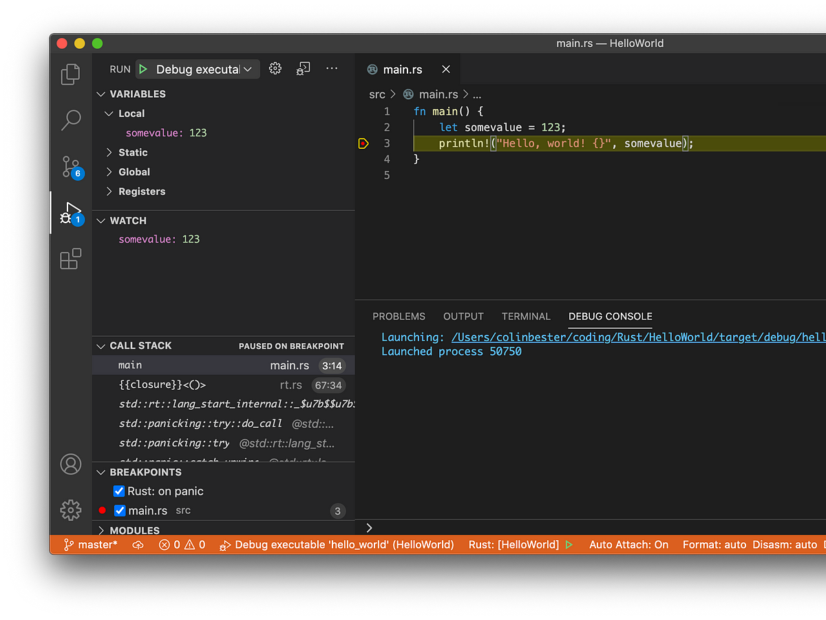 Rust with Visual Studio Code. A simple how-to | by Colin Bester | Level Up  Coding