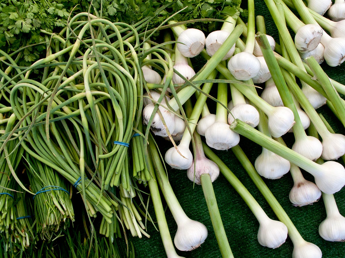 PWireless Plum Blossom Scallion Silk Knife Kitchen green onion
