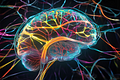 The Neuroscience of Flow States: Your Brain’s Most Extraordinary Performance