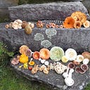 Food Stuff