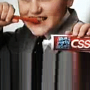 CSS Perverts