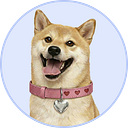 DogeGF