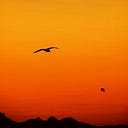 Karthikeyan Ramasamy