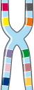 blindspotbio: research&bioinformatics as a service