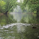 Cedar River Watershed District