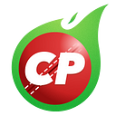 CricPlay