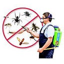 Pestcontrolbangalore