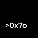 0x7o (Kononyuk Danil)