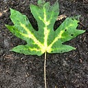 The Existential Investor