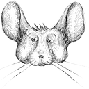 Chris Chinchilla