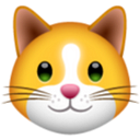 Kitten Finance