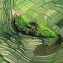 Transition Design Seminar