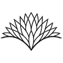 Wake Network