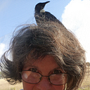 Karen L. Sullivan