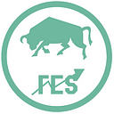 FES NSUT