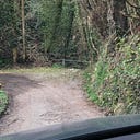 Down in the Dingle