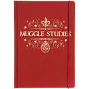 Muggle Studies