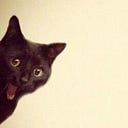 Notes from a blank pad