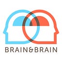 Brain&Brain Design Notes