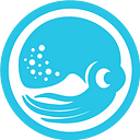 Sqquid