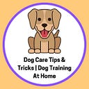 Dog Care Tips & Tricks | Dog Training At Home