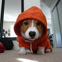 its C0rg1