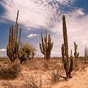 El oro del ejido El Bajío