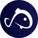 Koii-fr