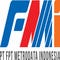 FMI Cyber Security Consulting Services