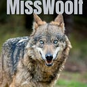 Misswoolf WhoWrote