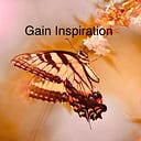 Gain Inspiration