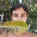 Sílvia Bastos
