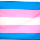 Trans Inclusion