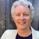 Anne Janzer