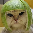 Java Class Shadowing and Shading. Java class shading best practices and ...