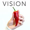 Vision 2019