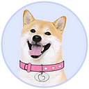 DogeGF