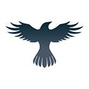 RavenProtocol