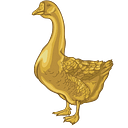 Goose Finance