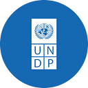 UNDP Strategic Innovation