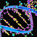 Ancestry and DNA