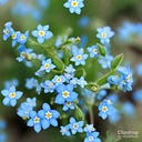 For You And Me